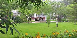 010-88803374 E-mai